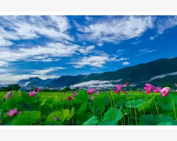 MT4电脑版安装失败重装流程与常见问题处理_为啥非得每次开仓都带止损