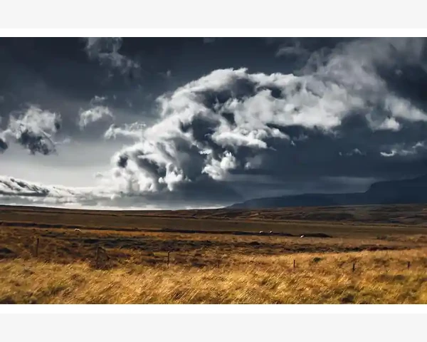 线下批发市场转型B2B线上渠道的破局思路_摸清非洲B2B市场的真实需求