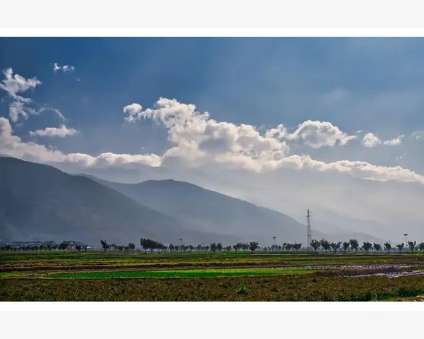 供应链金融破解资金难题_塔式起重机械高效运行与日常养护核心要点