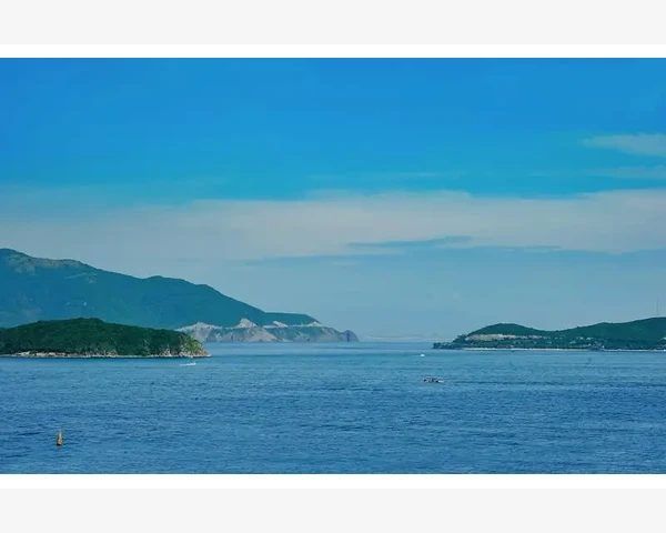 B2B生态圈各方角色协同共赢_交易流程与支付方式的显著差异