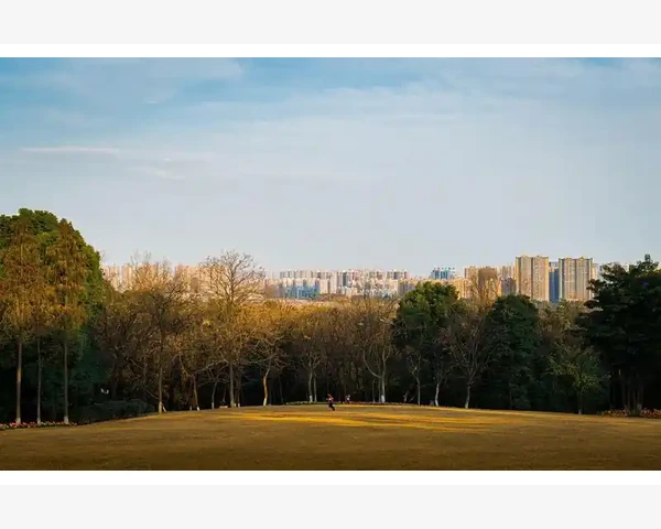 B2B品牌管理核心要素与实操方法_B2B品牌管理核心要素与实操方法