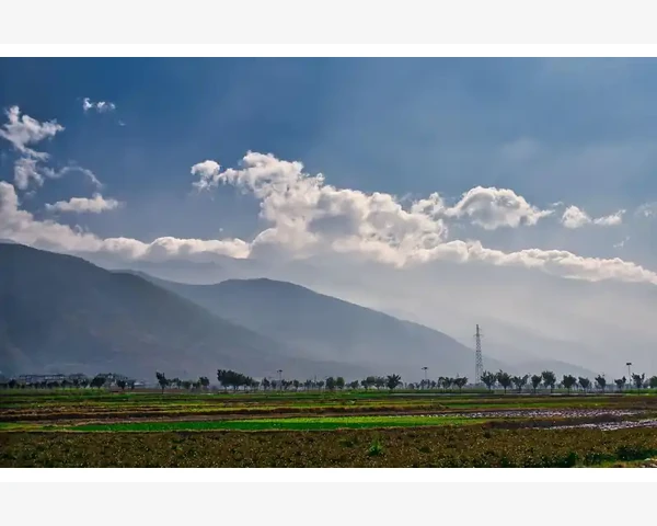 B2B品牌营销如何让企业赢在长线布局_从海量商品到精准匹配的选品体验
