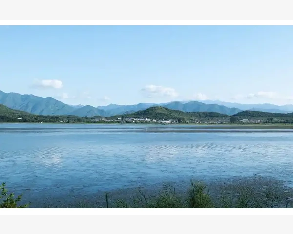 B2B品牌设计如何突破视觉同质化困局_B2B品牌设计如何突破视觉同质化困局