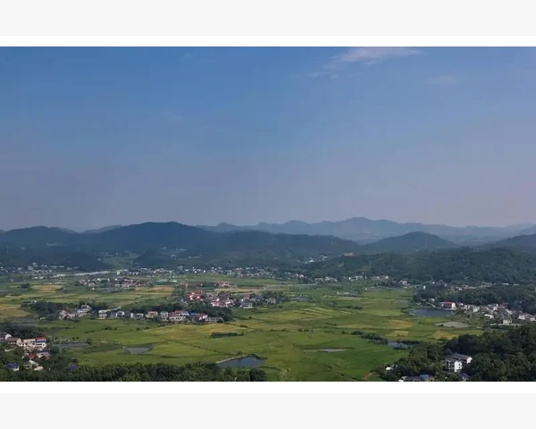 B2B生意场上那些踩过的坑和换来的真知_运营投入与长期效果评估