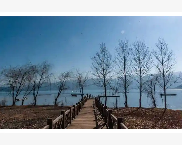 强化网络渠道获客能力_厦门钨业B2B平台如何赋能产业链协同