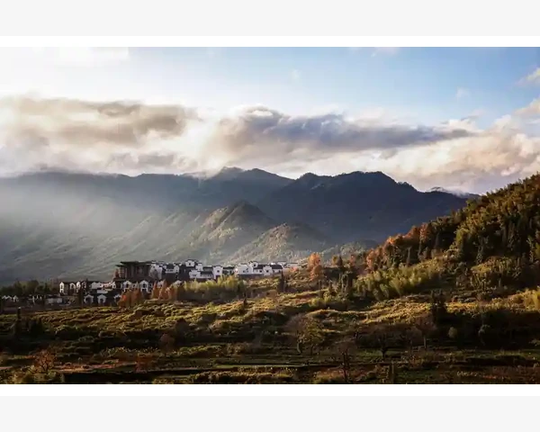 B2B配送模式打通企业供应链新路径_不同规模企业的应对策略差异