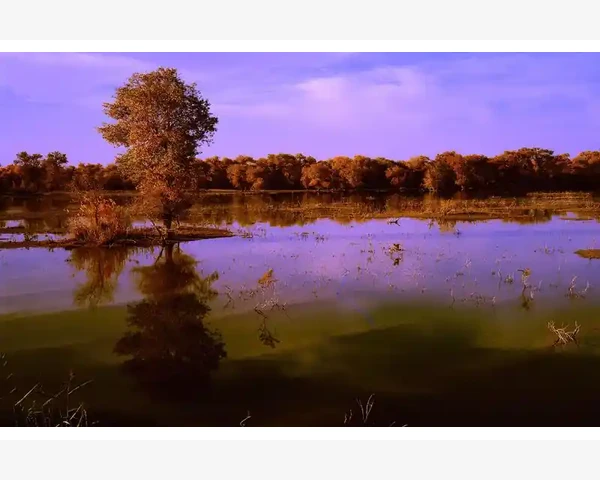 B2B租车让企业出行更省心高效_B2B租车让企业出行更省心高效