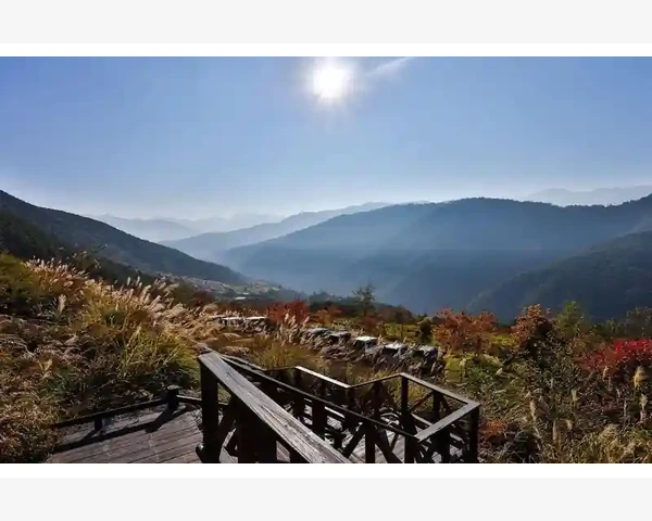 B2B业务难题这样解决效率翻倍_一站式服务简化采购与管理流程