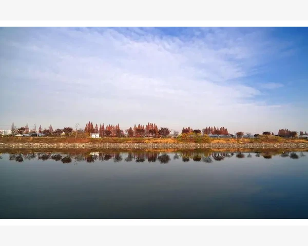 B2B商城方案从零搭建企业线上采购渠道_B2B后卫在进攻端的战术作用